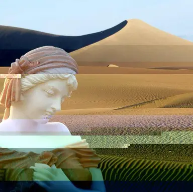 DN