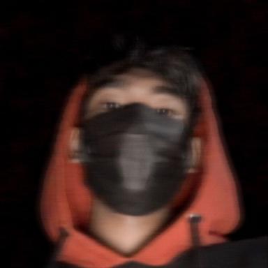 DS