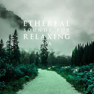 Seijaku The Song of Silence