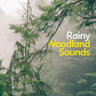 The End of the Downpour