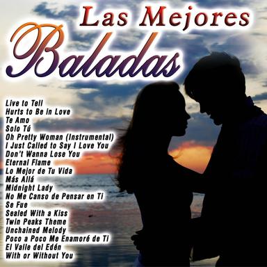 Don't Wanna Lose You