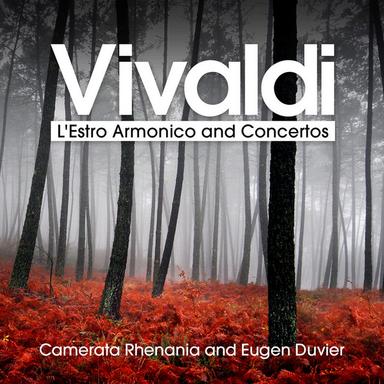 Concerto No. 2 in G Minor for Flute and Strings, RV 439, "La notte", Op. 10: I. Largo