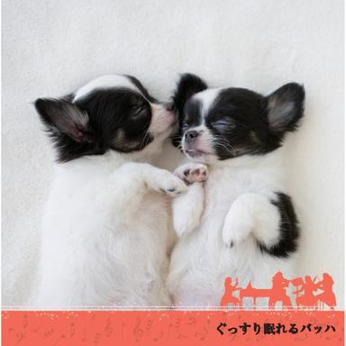 Suite for Solo Cello No. 1 in G Major, BWV 1007 (Transcr. for Solo Guitar by Göran Söllscher): I. Prélude