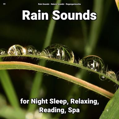 Rain Sound Effect for Noise Reduction