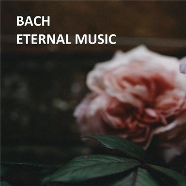 Violin Concerto No. 1 in A minor, BWV 1041: I. (Allegro moderato)