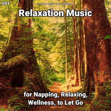 Calm Music for Noise Reduction