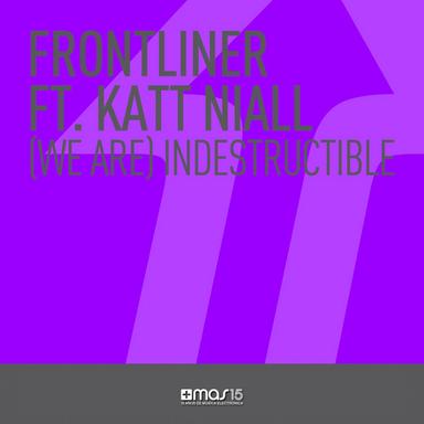 (We Are) Indestructible - Radio Edit