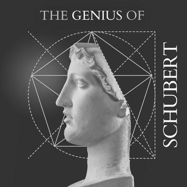 Piano Sonata No. 21 in B-Flat Major, D. 960: II. Andante sostenuto