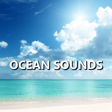 Extraordinary Florida Ocean Sounds