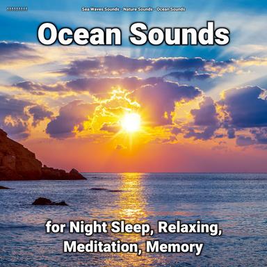 Ocean Sounds to Relax Your Mind
