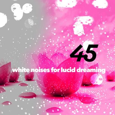 Rise Fall Reverb Noise