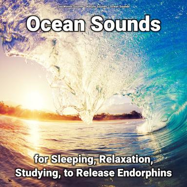 Ocean Sounds to Help Babies Sleep Longer at Night