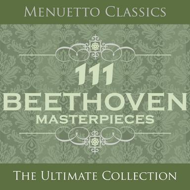 Sonata in A Minor for Piano and Violin, Op. 23: I. Presto