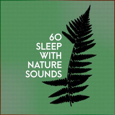 Howling Desert Wind and Birds