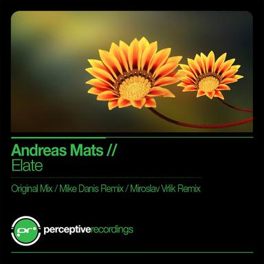 Elate - Mike Danis Remix