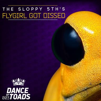 Flygirl Got Dissed - Original Mix