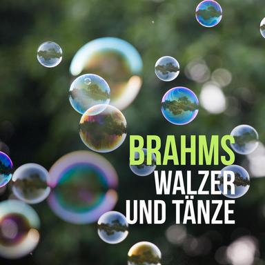 Hungarian Dances, WoO. 1: No. 5, Allegro in F-Sharp Minor