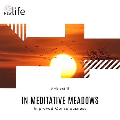 Transcendental Meditation - Original Mix