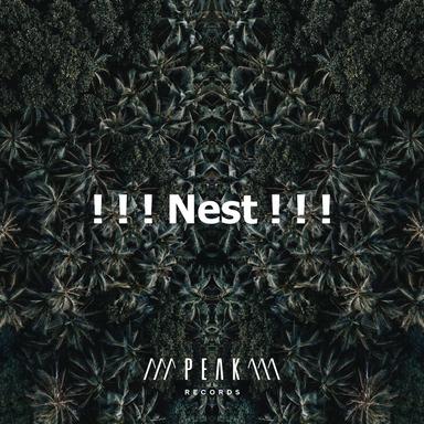 Winds Blowing The Trees