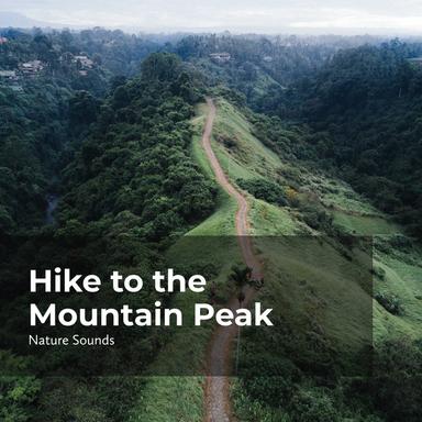 Trekking in the Hills