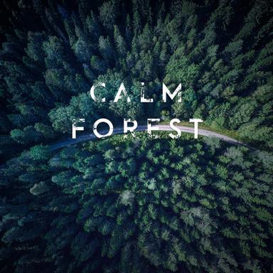 Dripping Stream Sound