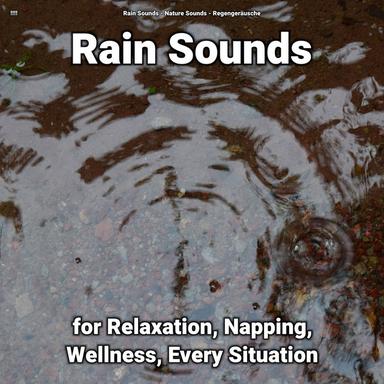 Delightful Rain Sound Effects