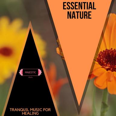 Essential Nature: Tranquil Music for Healing