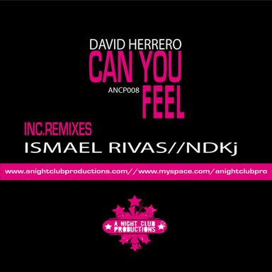Can You Feel It - Ismael Rivas Factomania Remix