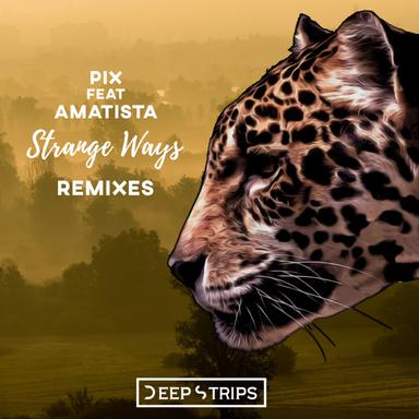 Strange Ways - Sean Sago Remix