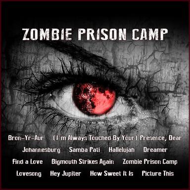 Zombie Prison Camp