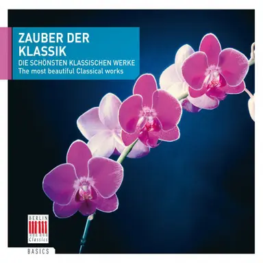 Piano Concerto No. 21 in C Major, K. 467 "Elvira Madigan": II. Andante