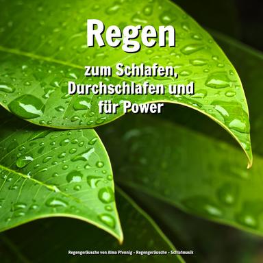 Regen für den Geist