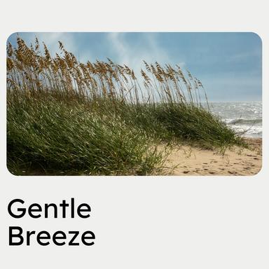 Flowering Ambient, Pt. 13