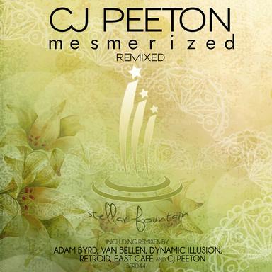 Flowers - Dynamic Illusion Remix