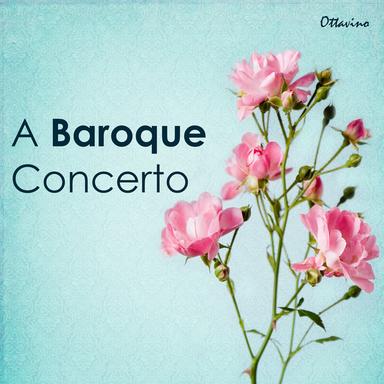 Flute Concerto in D minor, Wq. 22 (H. 426): 1. Allegro