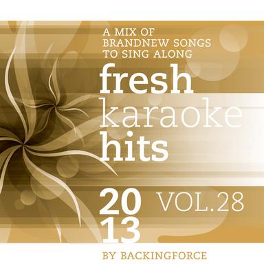 Fresh Karaoke Hits - 2013 - Vol. 28