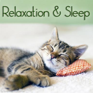 Relaxation & Sleep