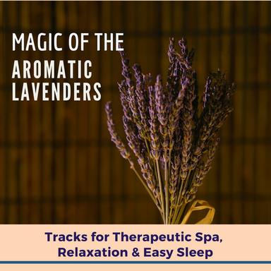 Attack The Negative - Original Mix