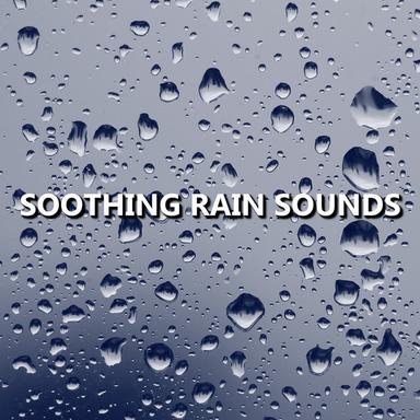 Poised Twilight Rain Sounds