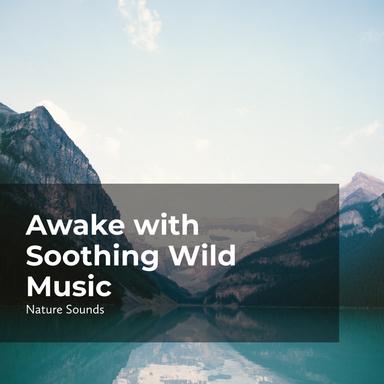 Wilderness Calm Spirit