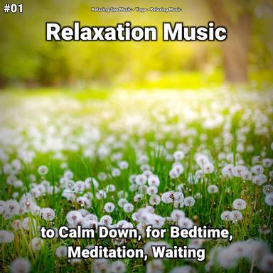 Meditation for Stress