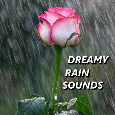 Spirited Rain Sounds