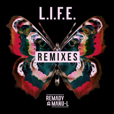 L.I.F.E. - BJRN Remix Radio Edit