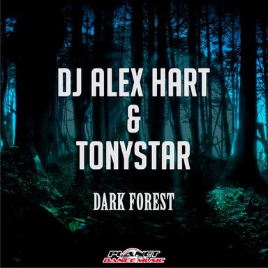 Dark Forest - Radio Edit