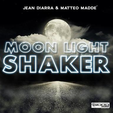 Moon Light Shaker - Slin Project & Alfonso Mosca Remix Edit