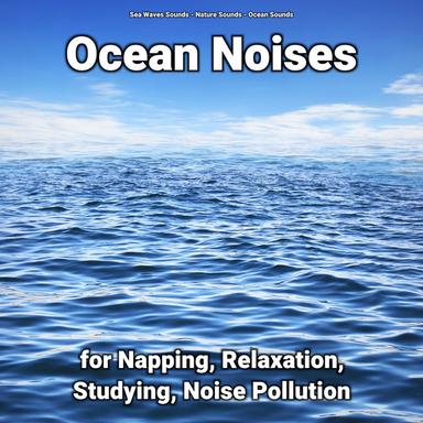 Ocean Sounds to Help You Sleep