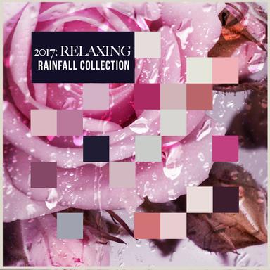 Rainy Night Crickets