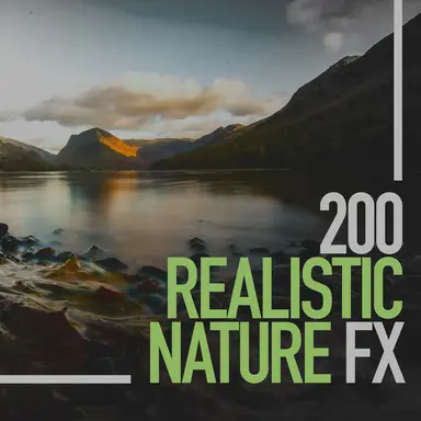 Jungle Beach Ambience