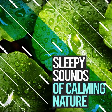 Sleepy Sounds of Calming Nature