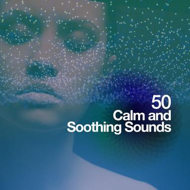 Bird Songs at the River